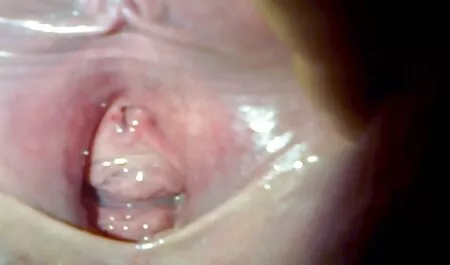 Una video porno amatoriali italiani gratuiti selezione di MIT con мулатками