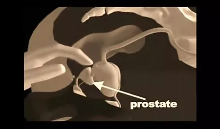 Un grande Afro-Americano per il suo culo xxx video amatoriali